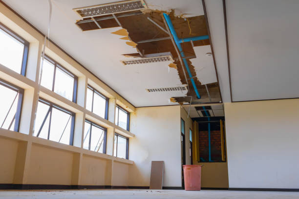 Best Water damage restoration cost  in Haines City, FL