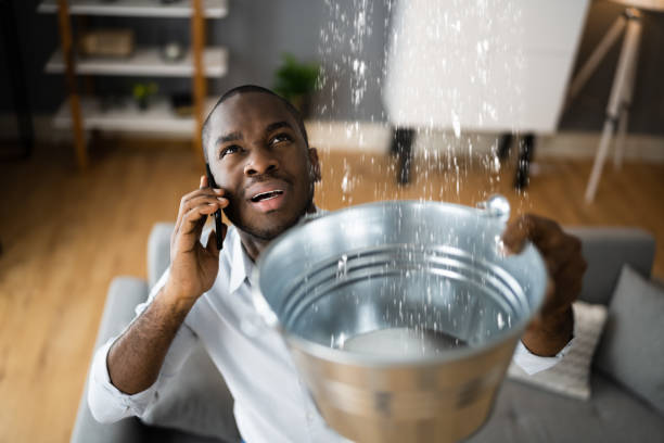 Best Ceiling water damage repair  in Haines City, FL