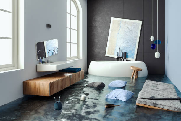 Best Water damage contractors near me  in Haines City, FL