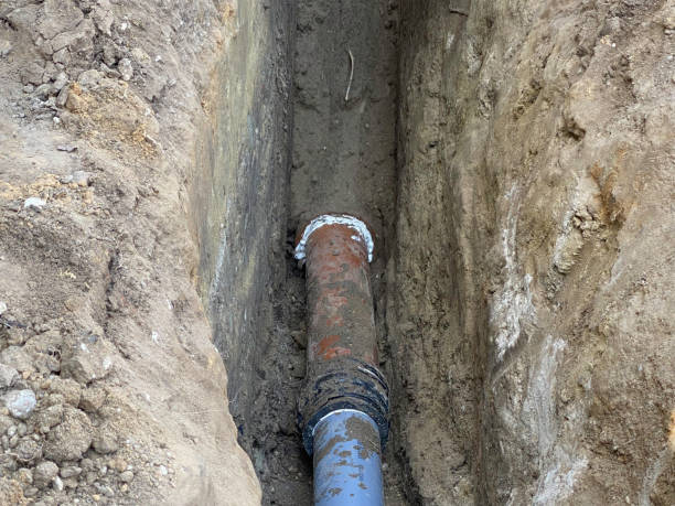 Best Basement water damage restoration  in Haines City, FL