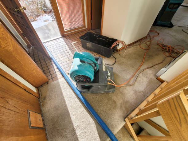 Best Sewage cleanup and water damage restoration  in Haines City, FL