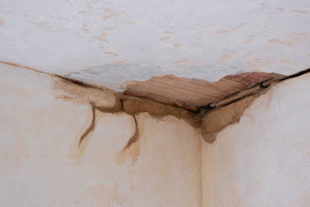 Best Flooded house restoration  in Haines City, FL