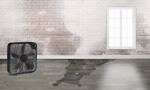 Water damage restoration insurance claims in Haines City, FL