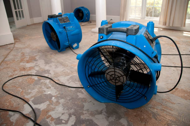 Best Commercial water damage restoration  in Haines City, FL