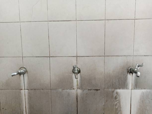 Best Water damage restoration insurance claims  in Haines City, FL