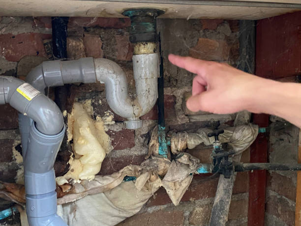 Best Professional water damage repair  in Haines City, FL