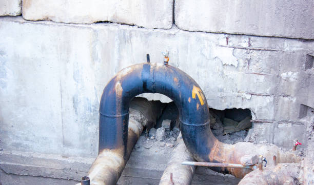 Best Basement water damage restoration  in Haines City, FL