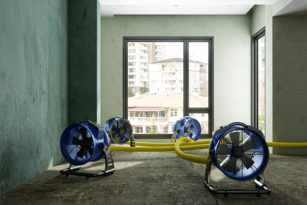 Best Flood restoration services  in Haines City, FL